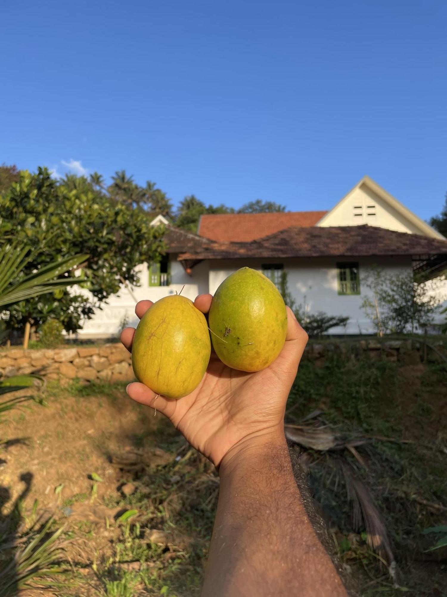 Calm Shack - 2 Bedroom-Boutique Farm Stay มุนนาร์ ภายนอก รูปภาพ