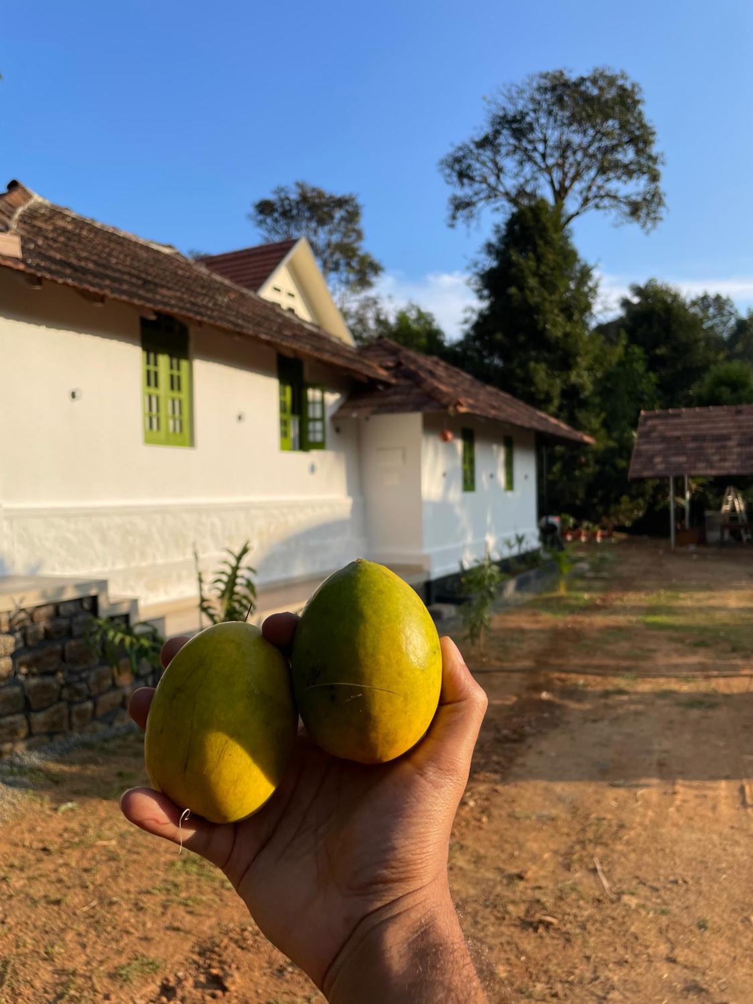 Calm Shack - 2 Bedroom-Boutique Farm Stay มุนนาร์ ภายนอก รูปภาพ