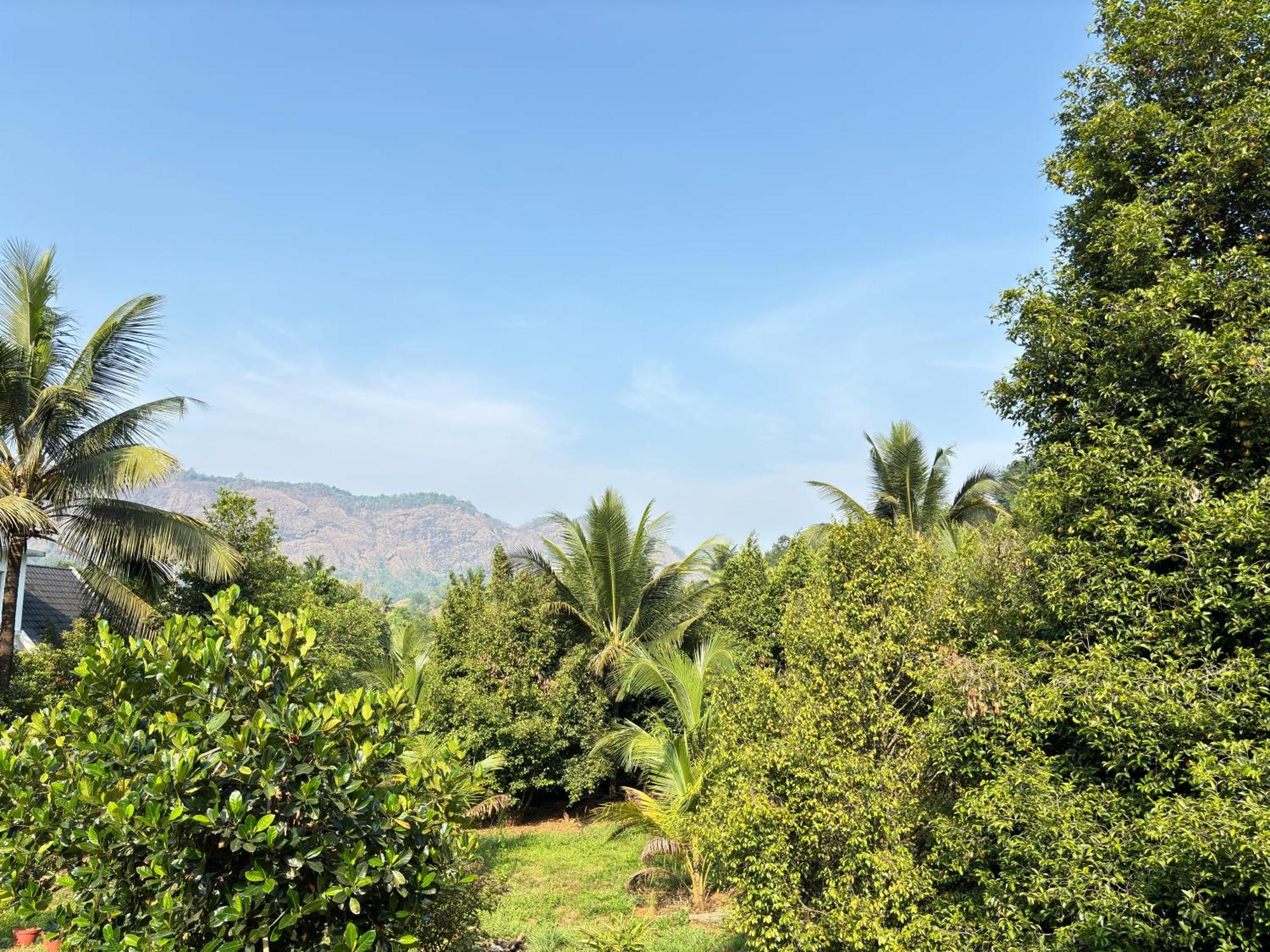 Calm Shack - 2 Bedroom-Boutique Farm Stay มุนนาร์ ภายนอก รูปภาพ